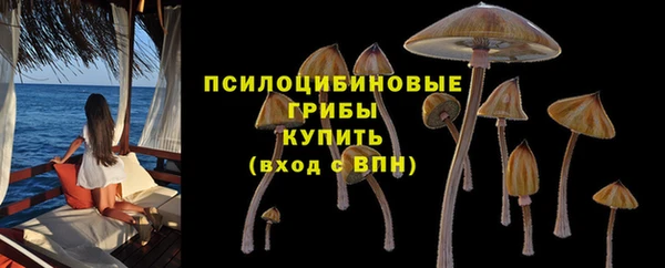 прущий лед Гусь-Хрустальный