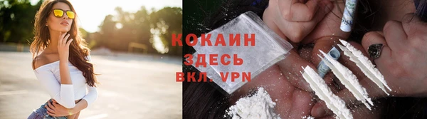 молекула духа Гусиноозёрск