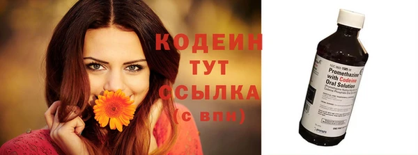 прущий лед Гусев
