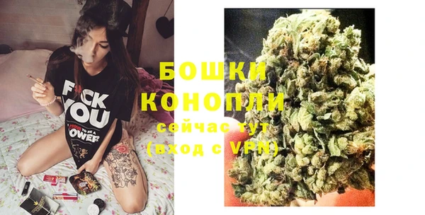 прущий лед Гусев