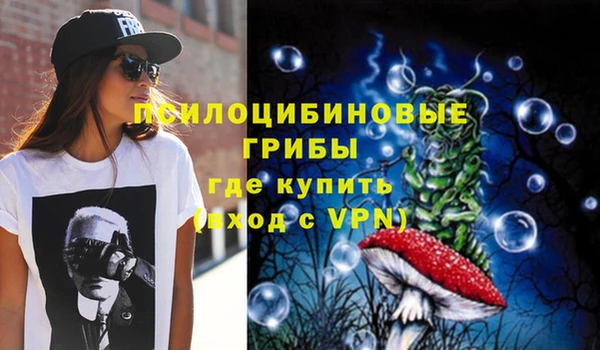 прущий лед Гусев