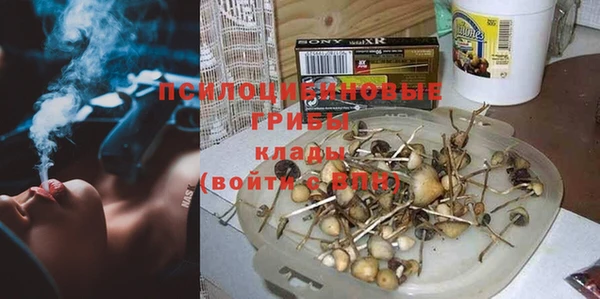 прущий лед Гусев