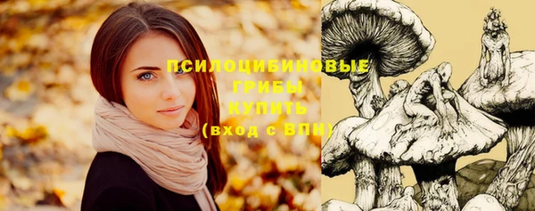 прущий лед Гусев