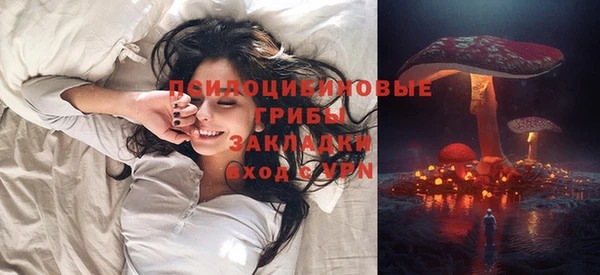 молекула духа Гусиноозёрск