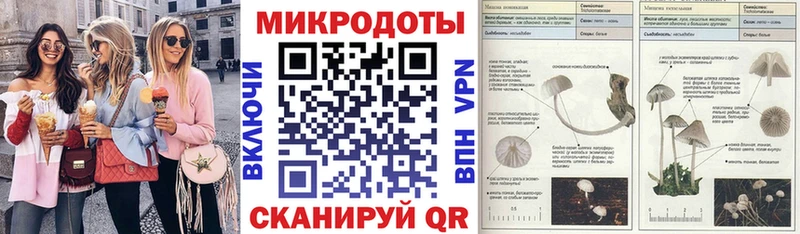 где продают   Меленки  Галлюциногенные грибы Cubensis 